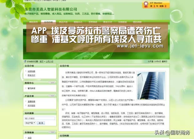 APP_埃及曼苏拉市警察局遭袭伤亡惨重 潘基文呼吁所有埃及人寻求共同点(图2) APP_埃及曼苏拉市警察局遭袭伤亡惨重 潘基文呼吁所有埃及人寻求共同点(图2)