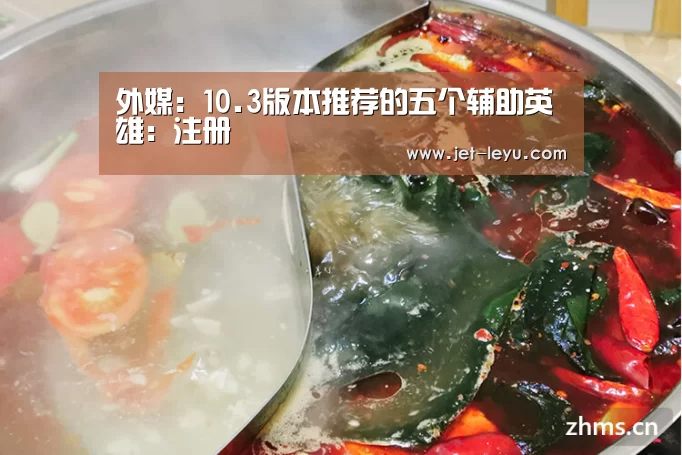 外媒:10.3版本推荐的五个辅助英雄:注册(图4) 外媒:10.3版本推荐的五个辅助英雄:注册(图4)