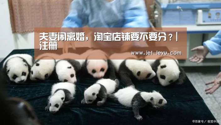 夫妻闹离婚,淘宝店铺要不要分?|注册(图4) 乐鱼体育登录入口